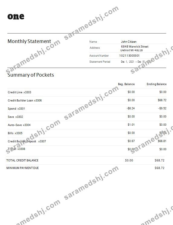USA One bank statement Word and PDF template, 4 pages